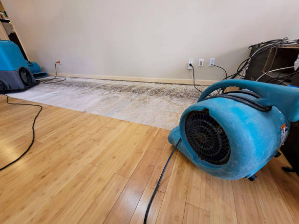 Professional Basement Flood Cleanup technician working in Hankamer, TX